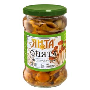 Грибы опята маринованные Грибы опята маринованные