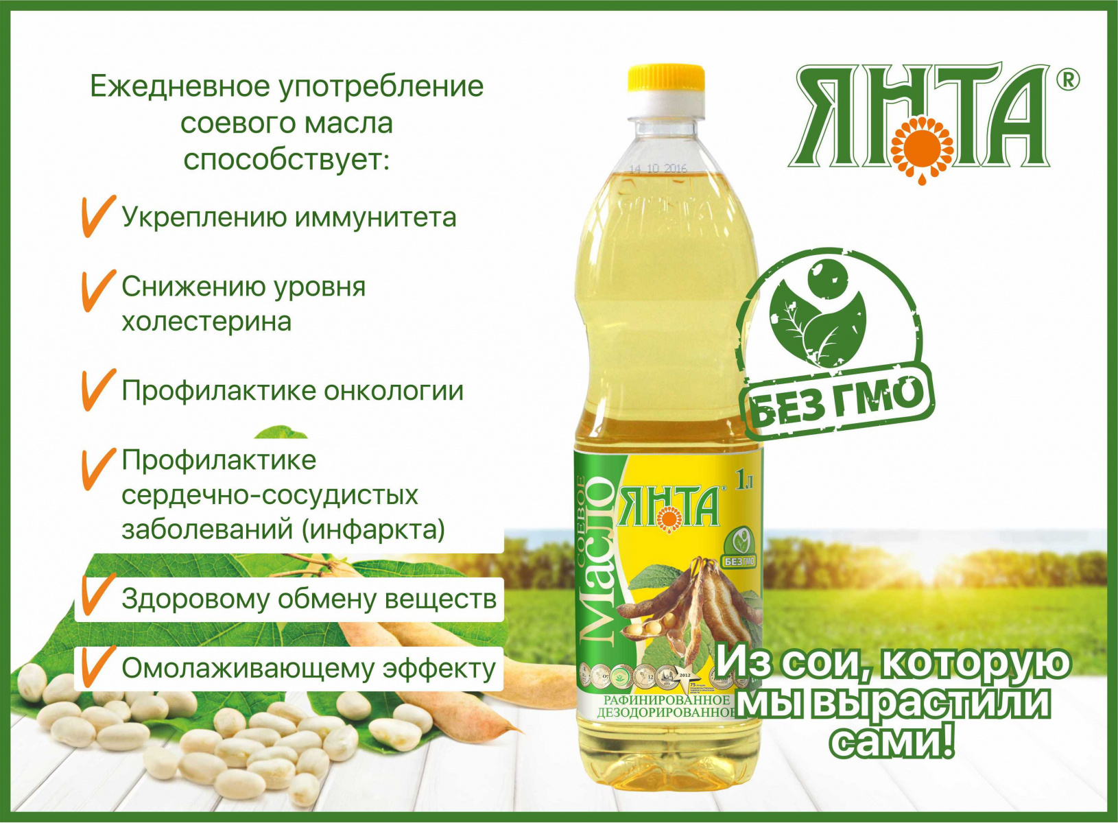 соя.jpg